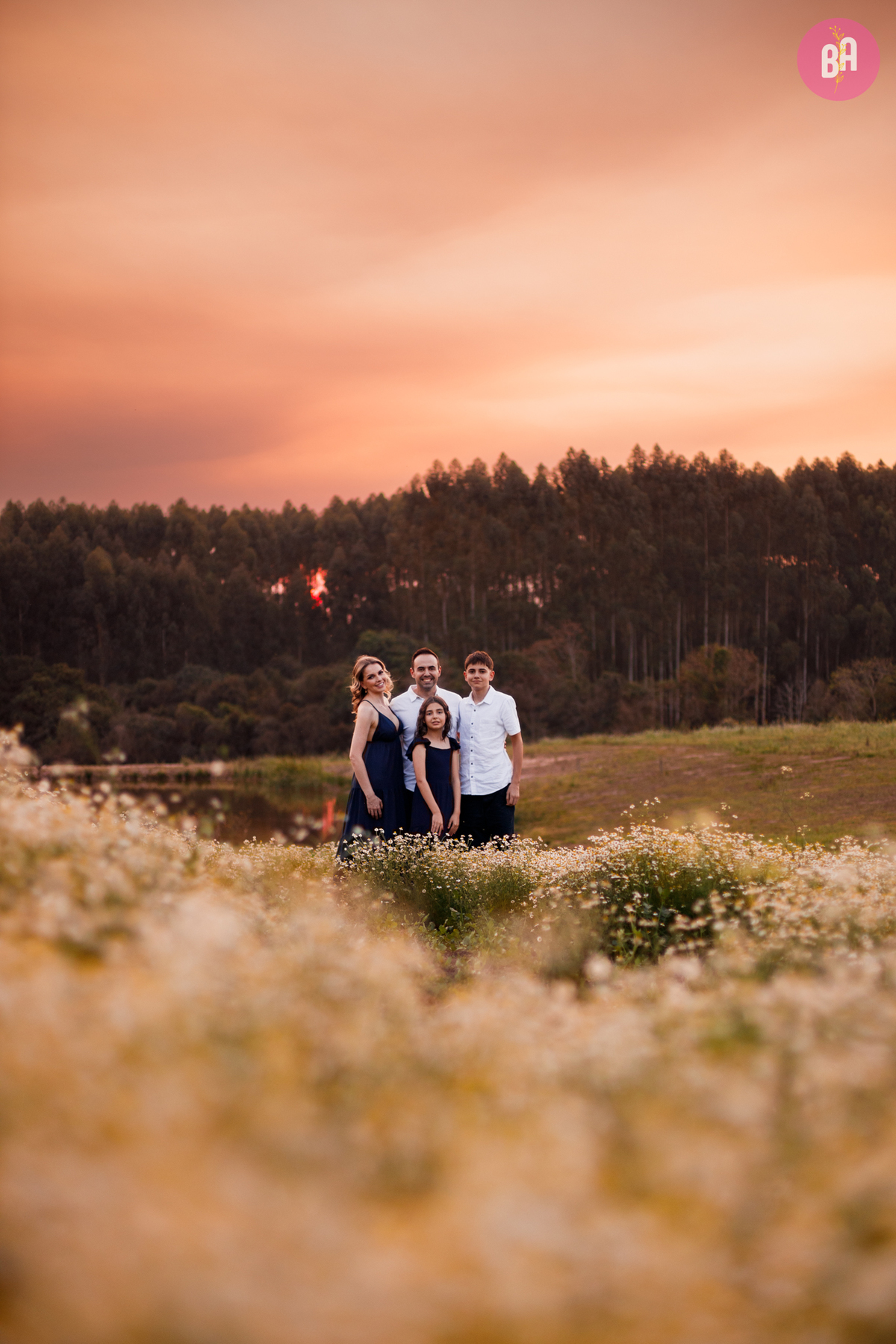 fotógrafa_família_curitiba_lavandário_camomila