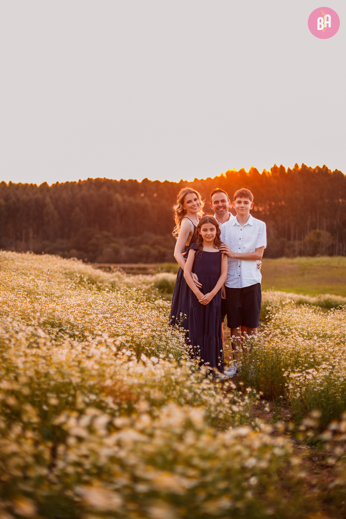 fotógrafa_família_curitiba_lavandário_camomila