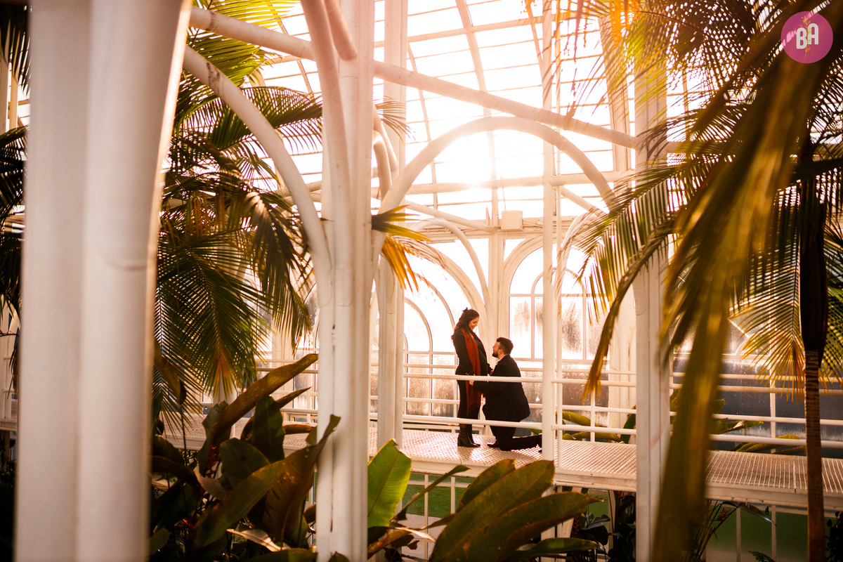 fotógrafa_família_gestante_inverno