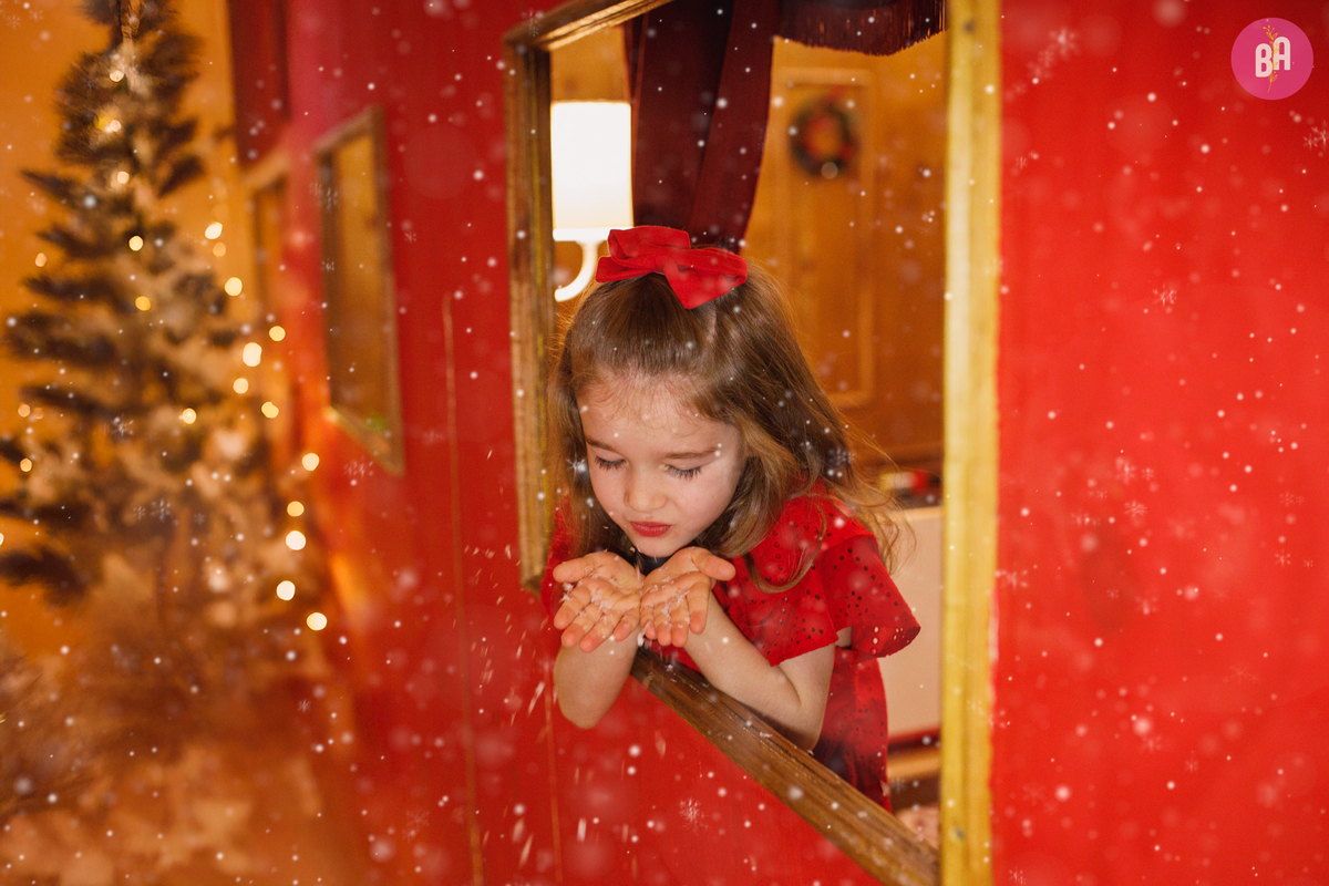 fotógrafa_família_curitiba_natal