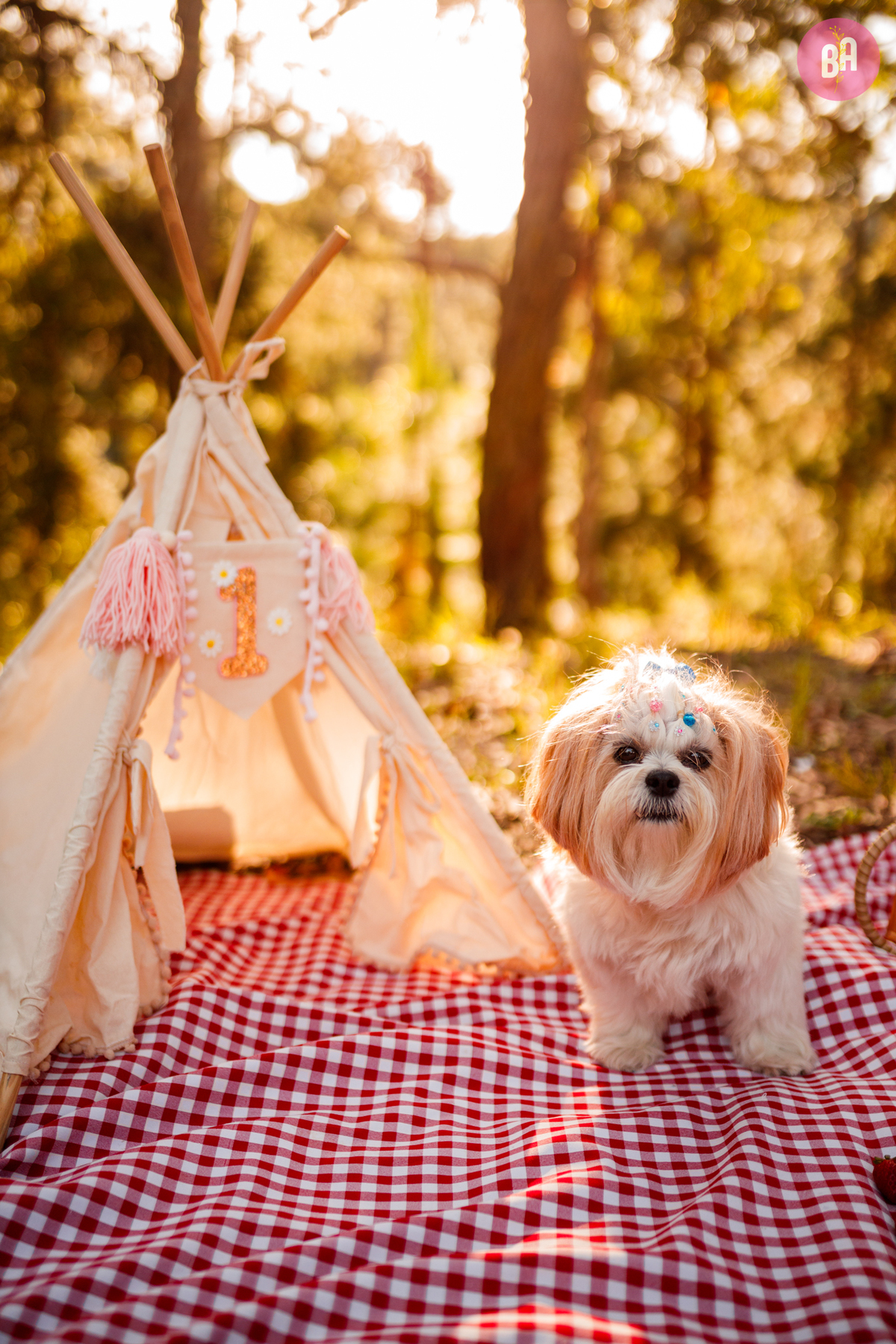 fotógrafa_família_curitiba_nascer_do_sol