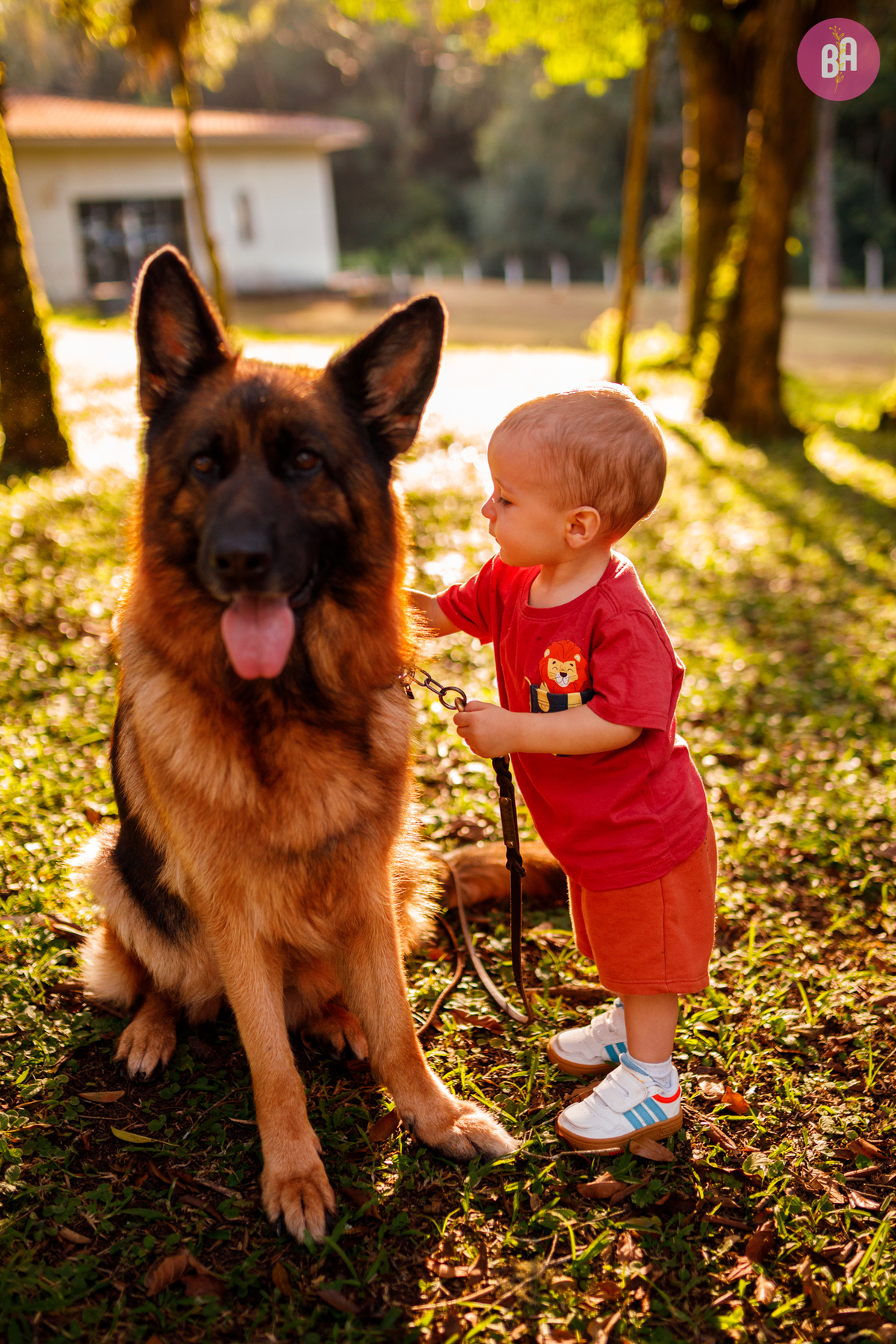 fotógrafa_família_curitiba