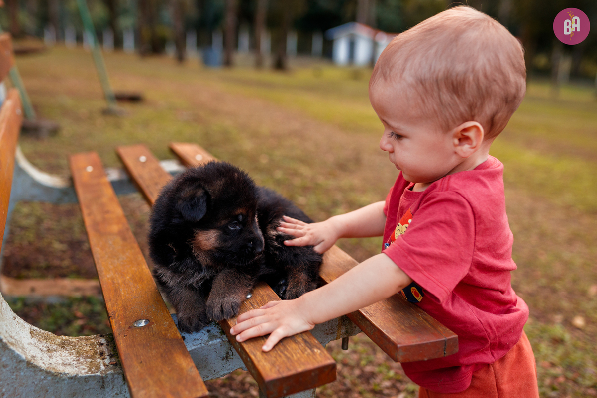 fotógrafa_família_curitiba