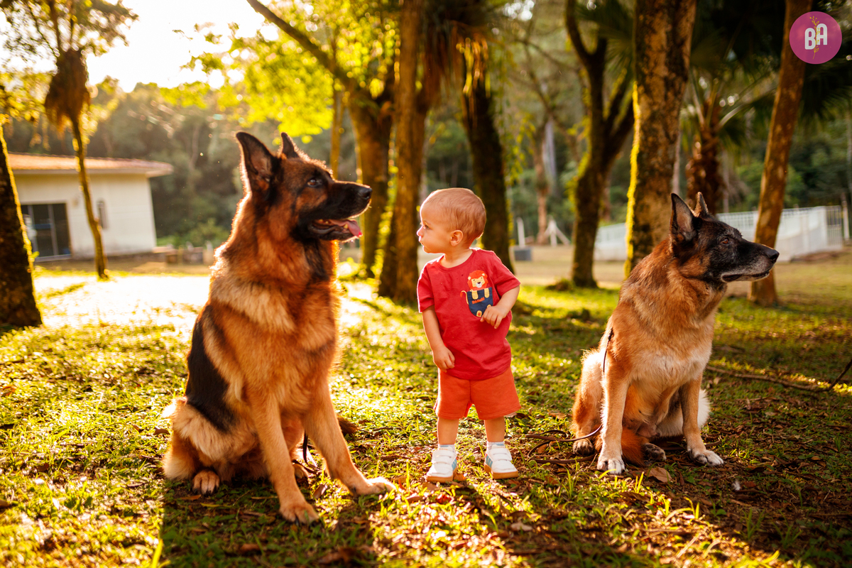 fotógrafa_família_curitiba