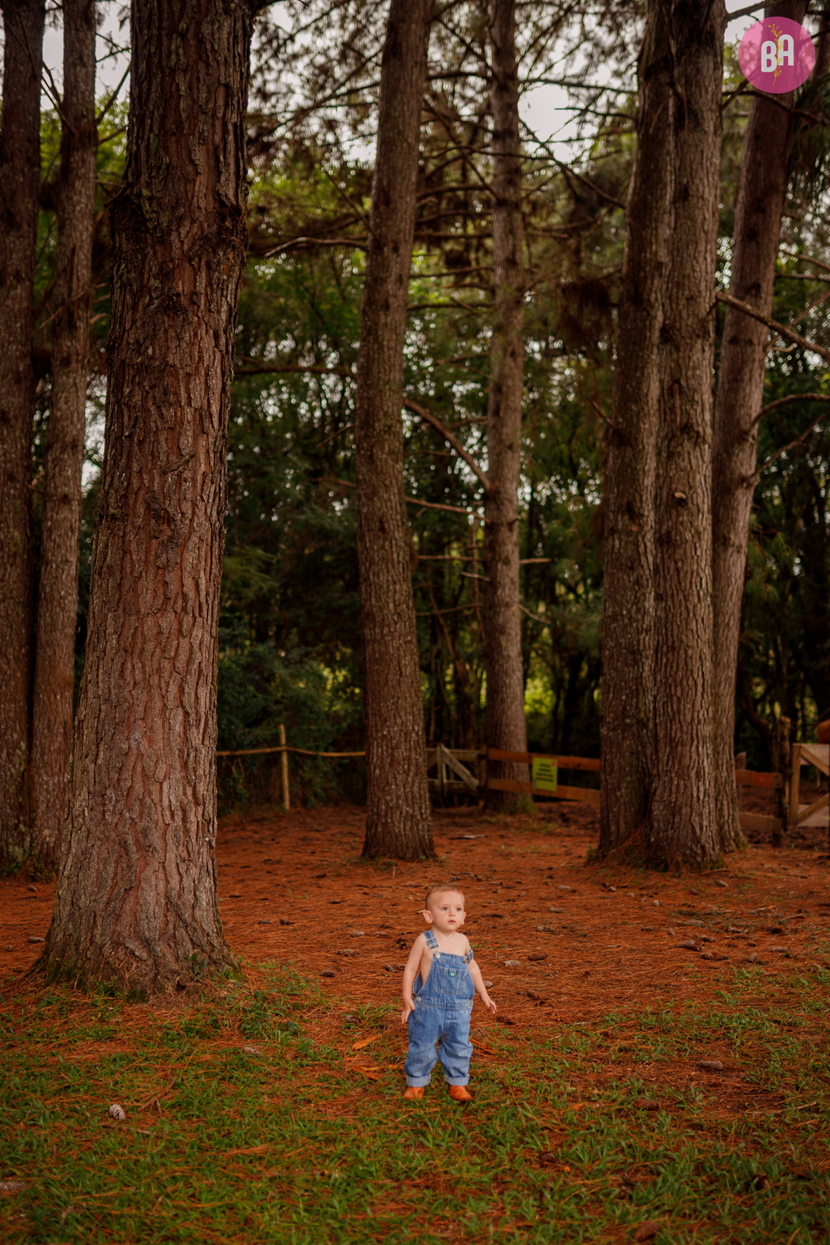 fotógrafa_família_curitiba_páscoa