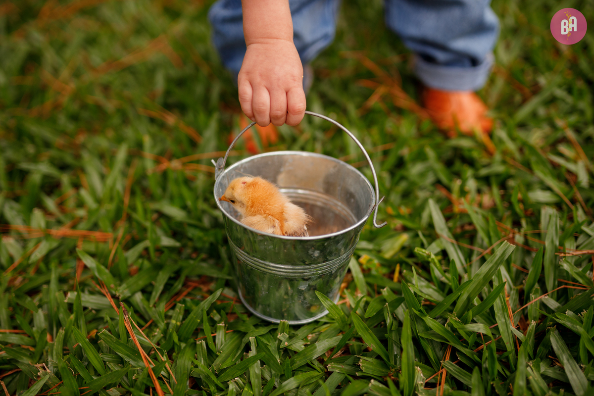 fotógrafa_família_curitiba_páscoa