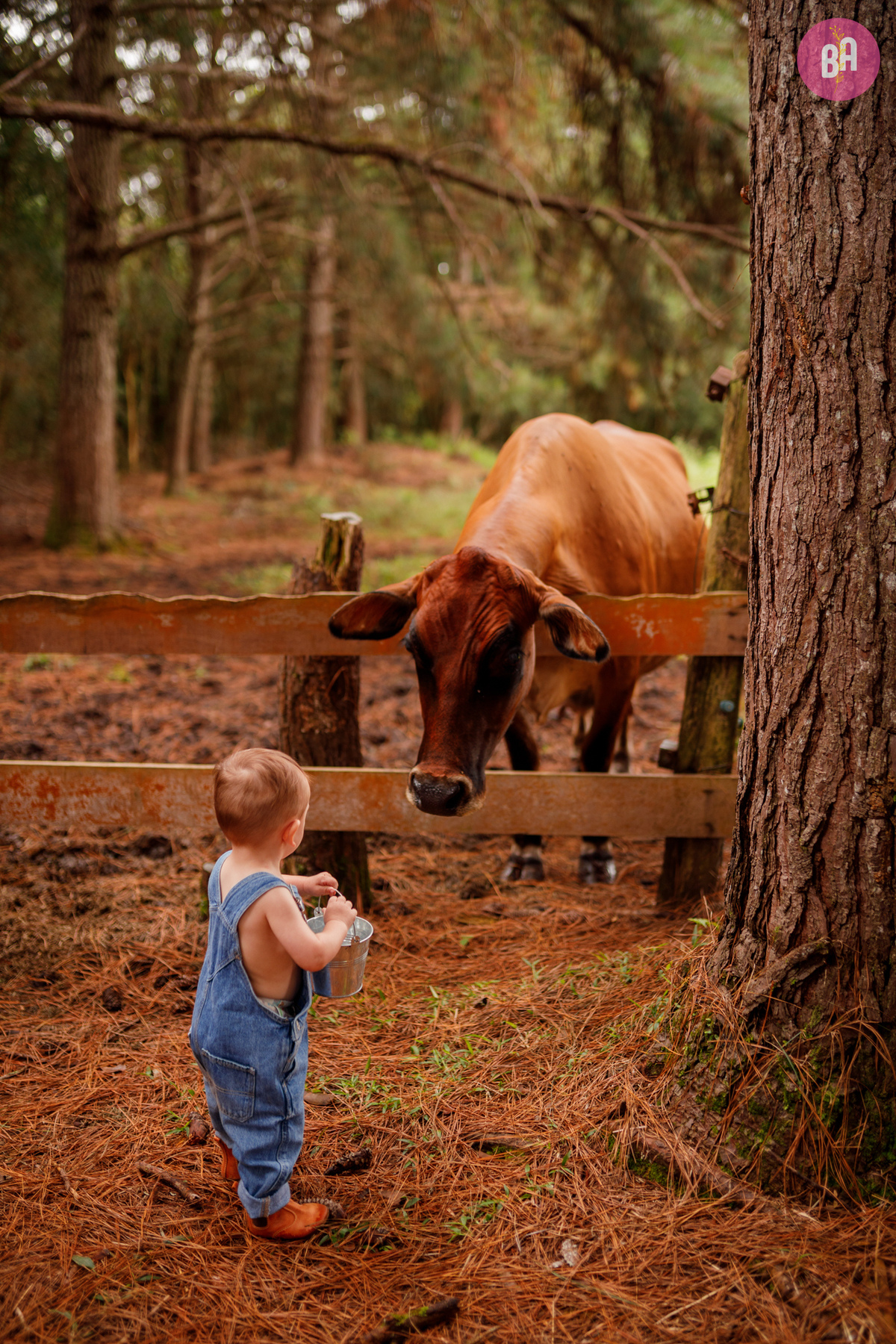 fotógrafa_família_curitiba_páscoa