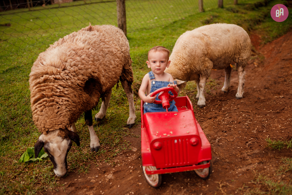 fotógrafa_família_curitiba_páscoa
