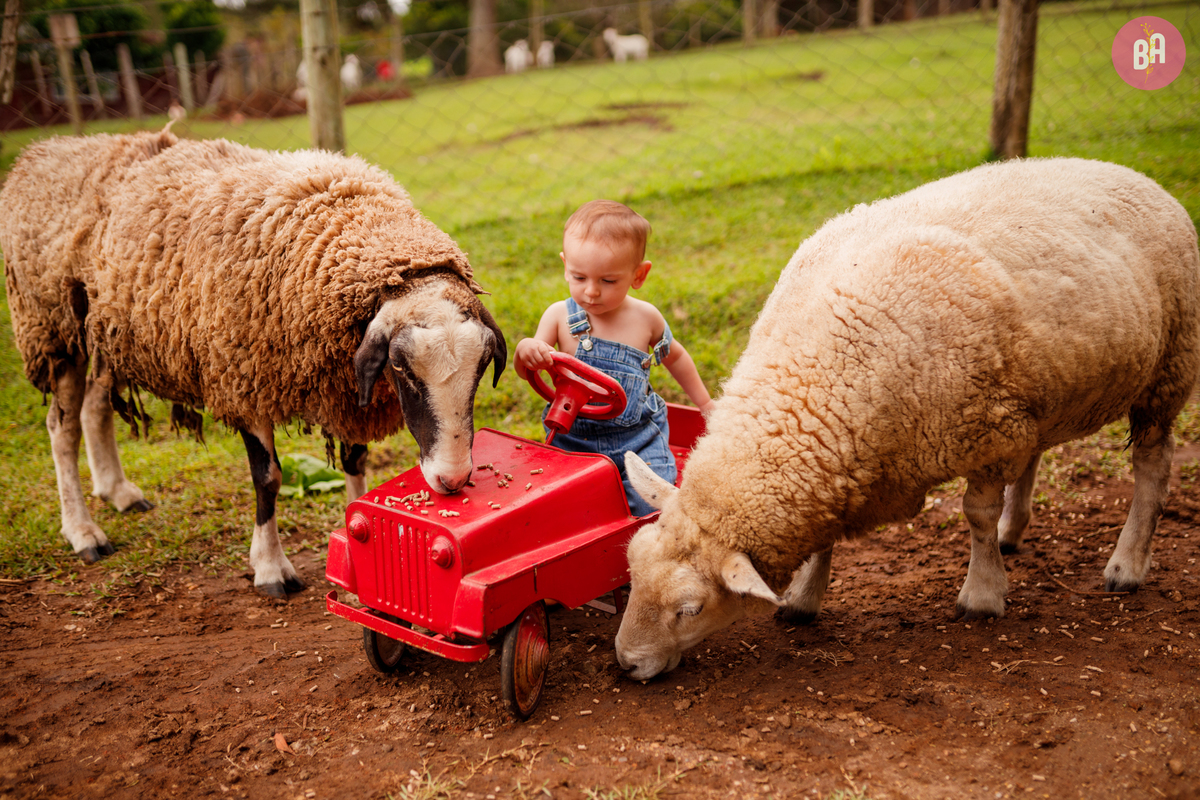 fotógrafa_família_curitiba_páscoa