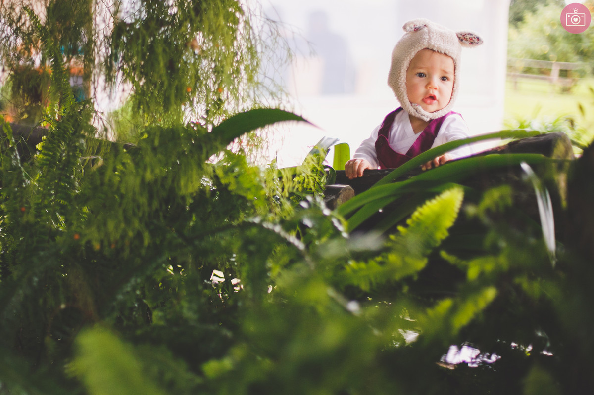 fotógrafa família Curitiba Sophie 11 Meses