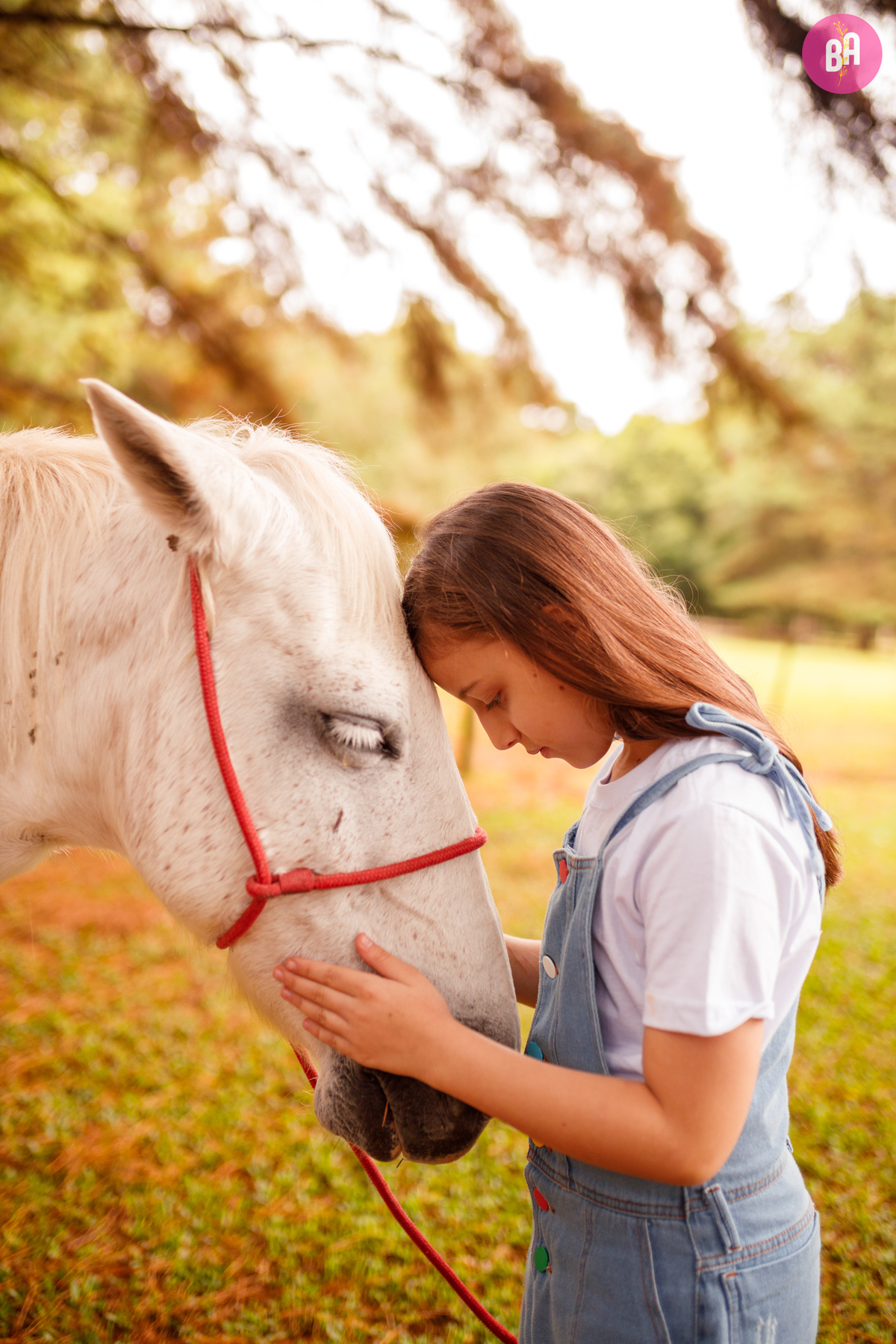fotógrafa_família_curitiba_fazendinha