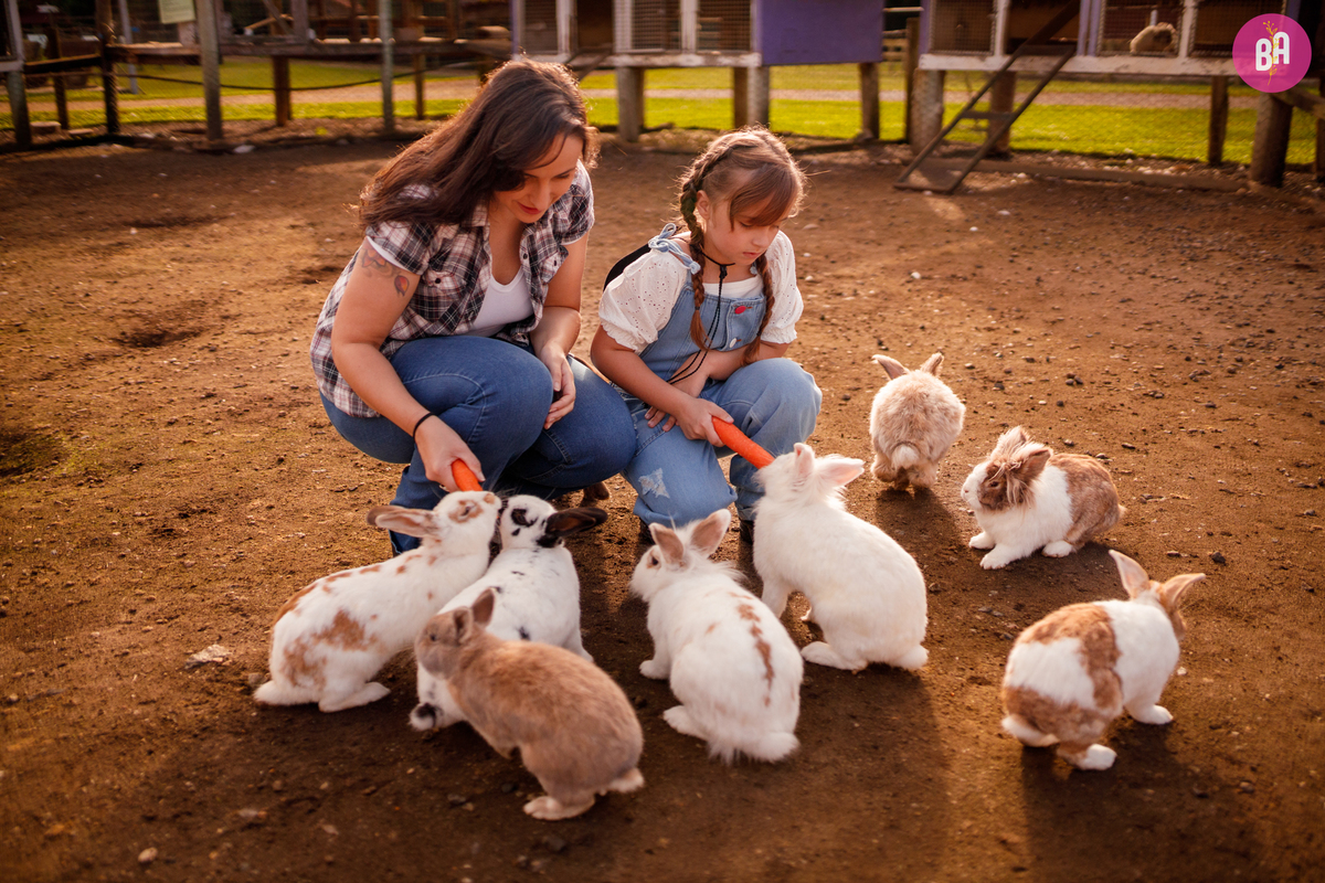 fotógrafa_família_curitiba_fazendinha