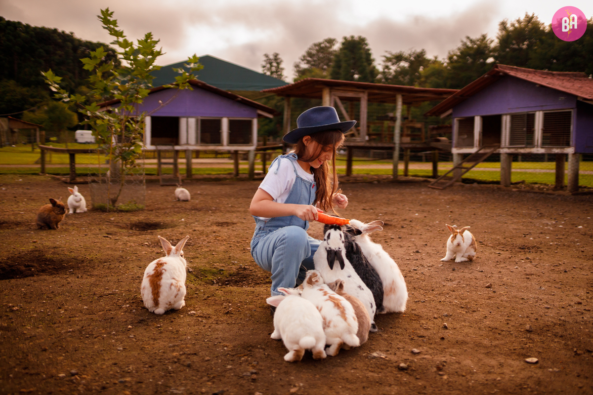 fotógrafa_família_curitiba_fazendinha