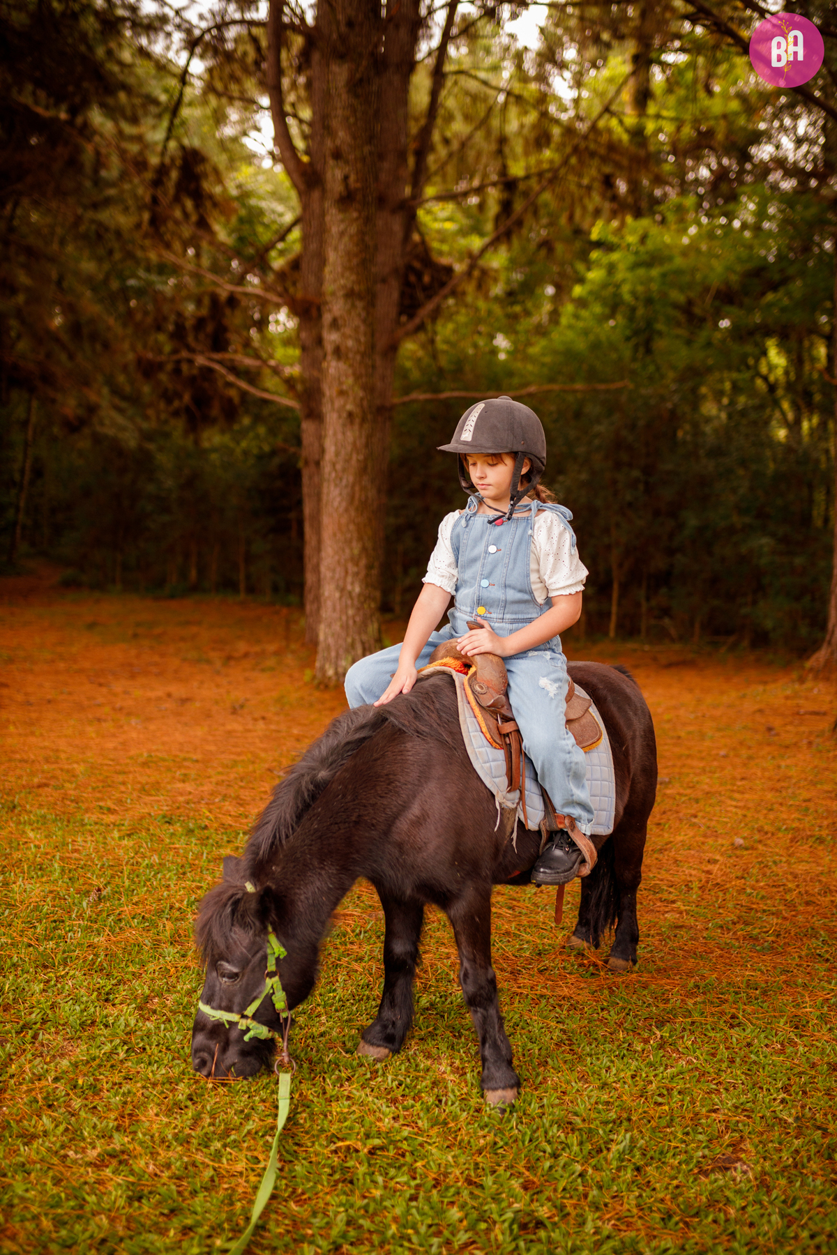 fotógrafa_família_curitiba_fazendinha