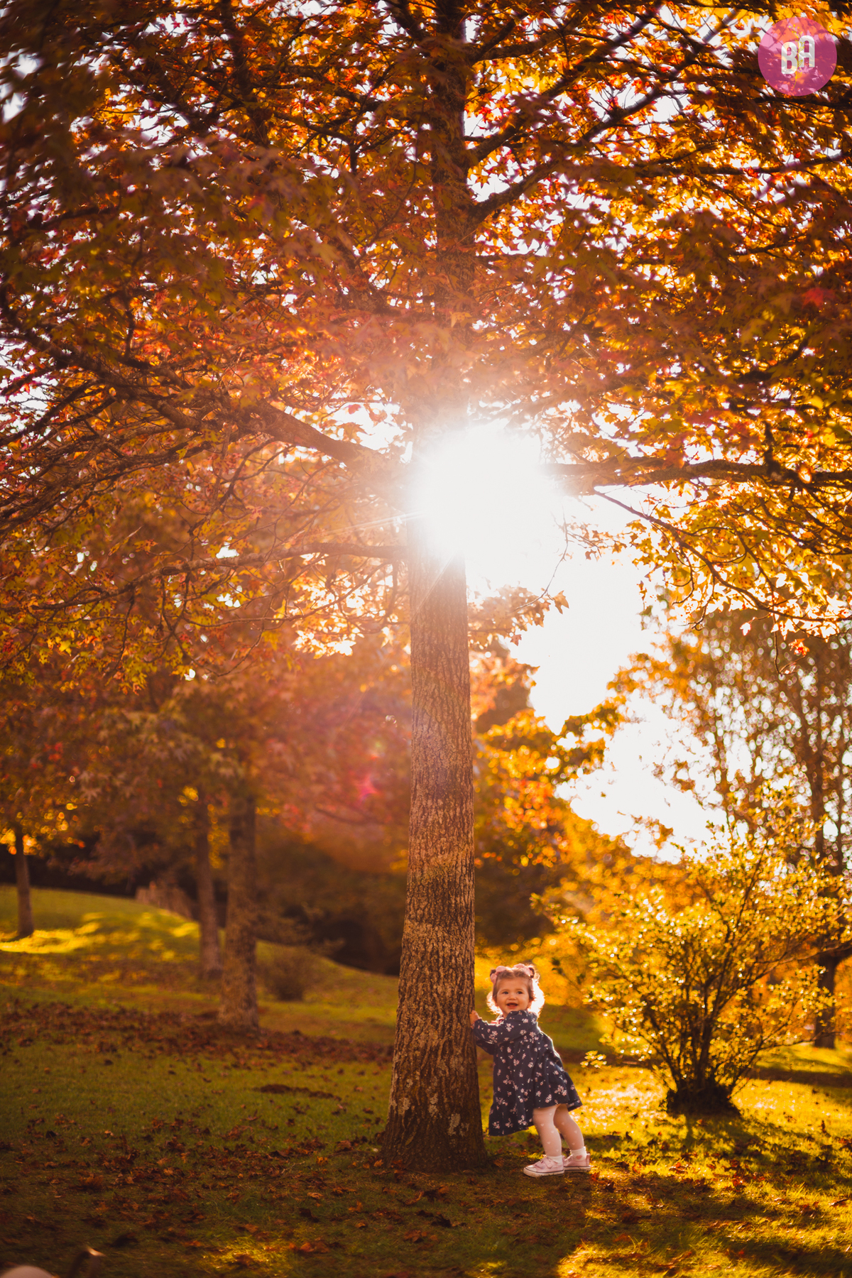 fotógrafa_família_curitiba_outono