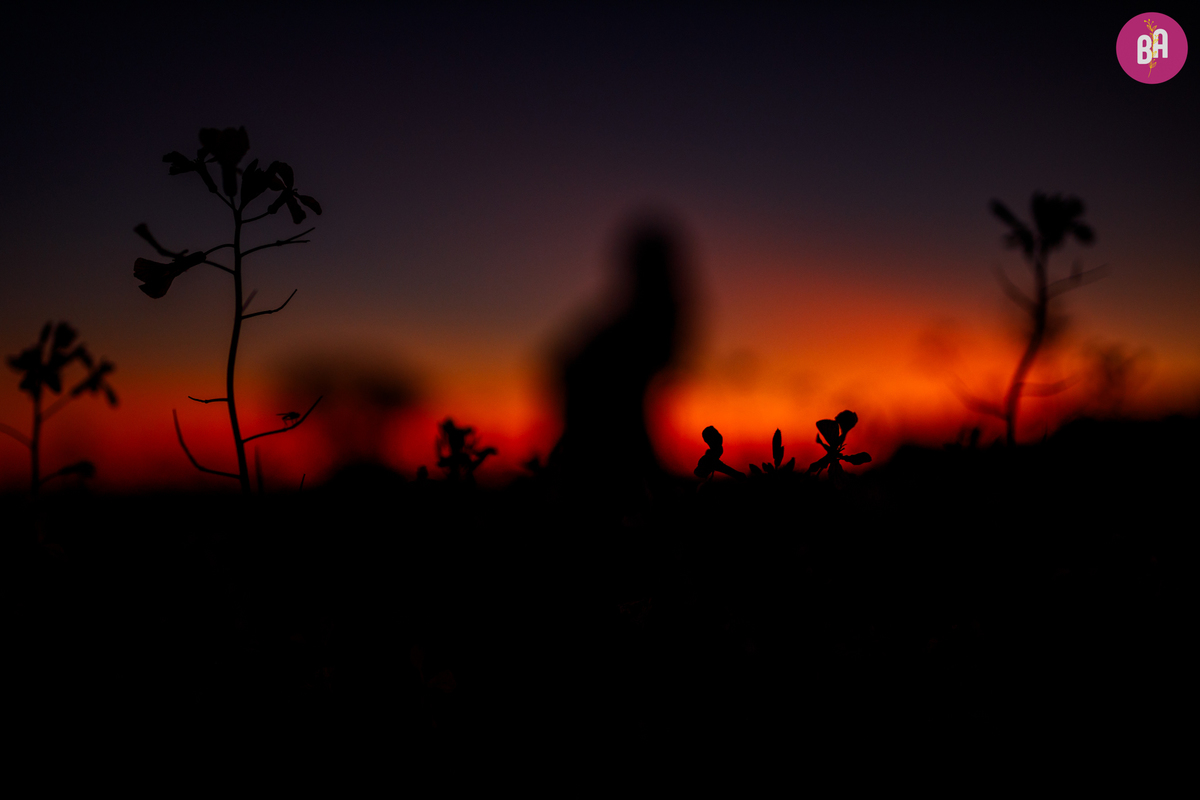 fotógrafa_família_curitiba_gestação