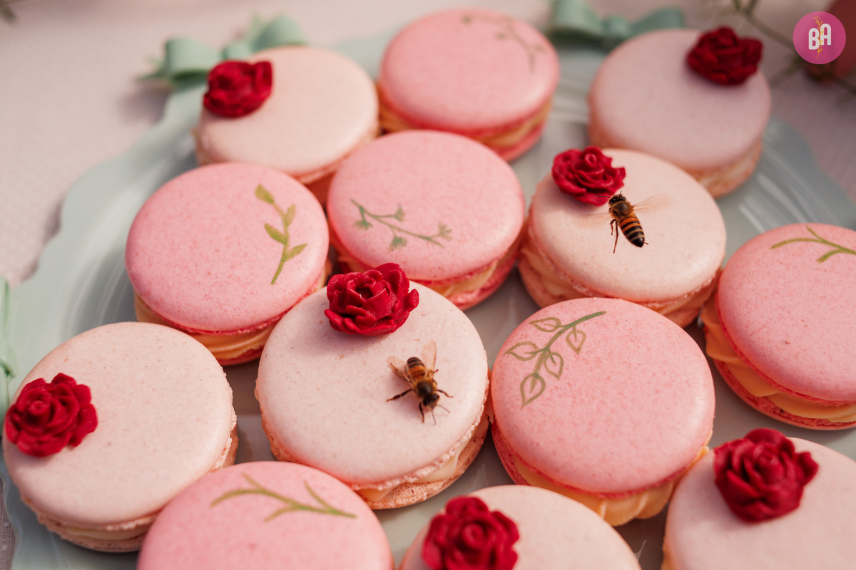 fotógrafa_família_curitiba_aniversário