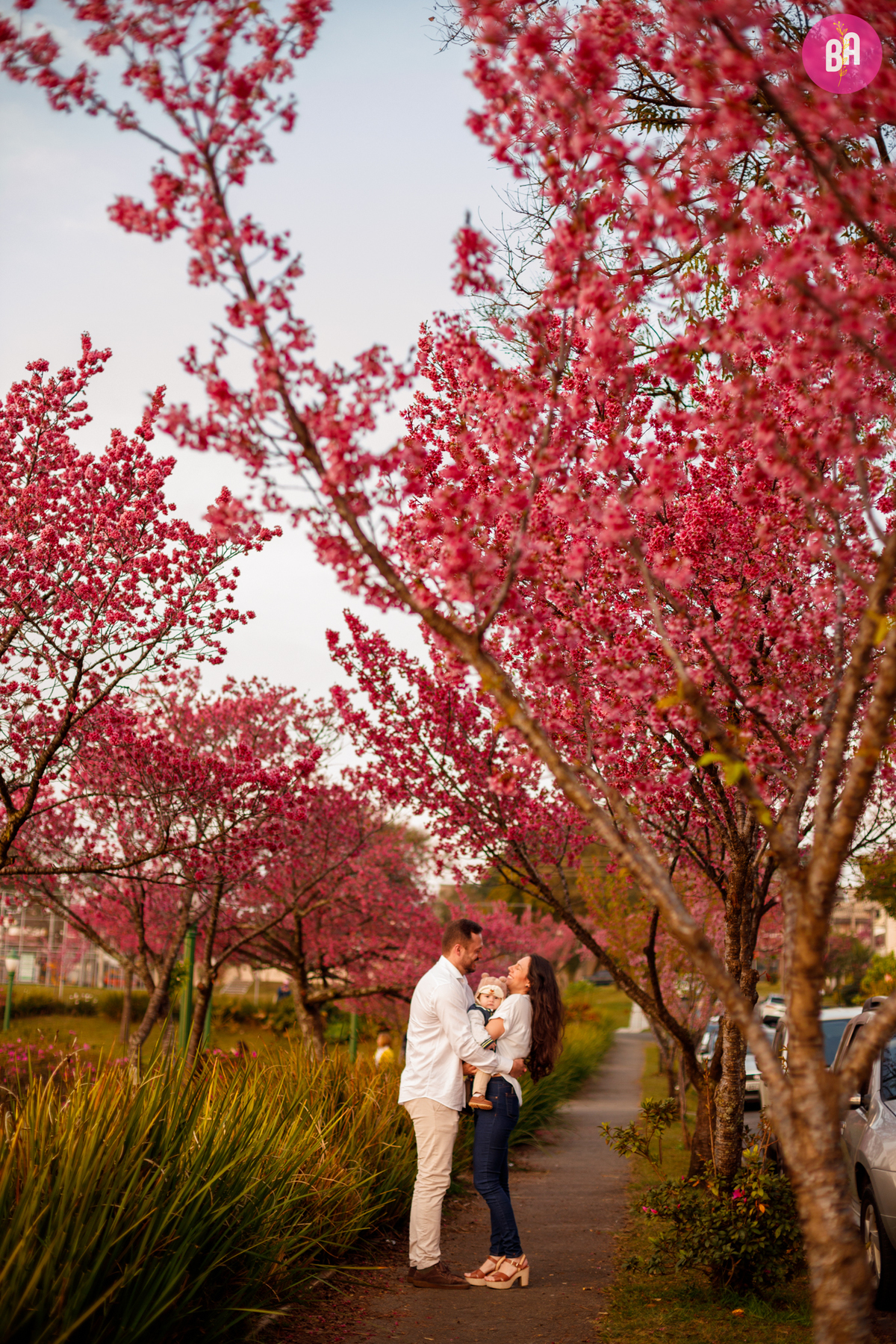 fotógrafa_família_curitiba_cerejeiras