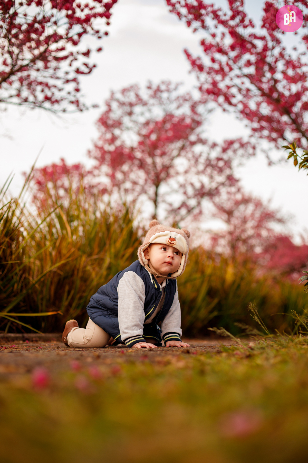 fotógrafa_família_curitiba_cerejeiras