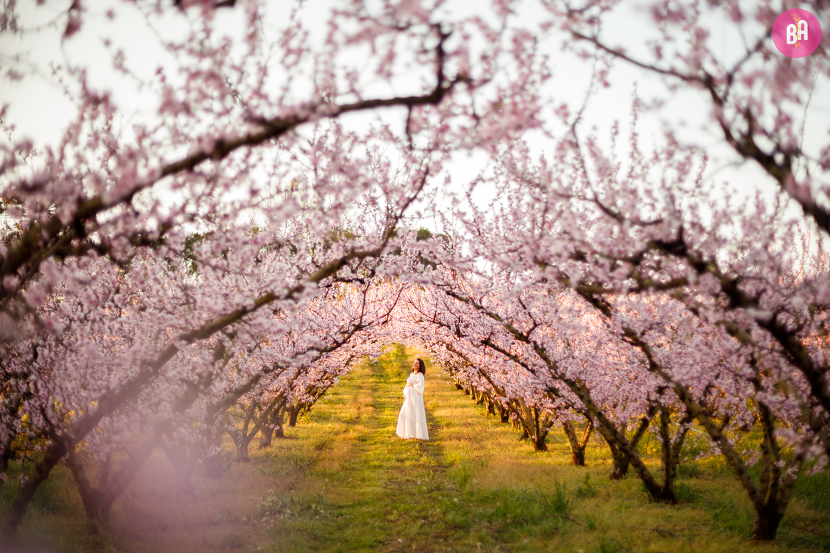 fotógrafa_família_curitiba_gestante