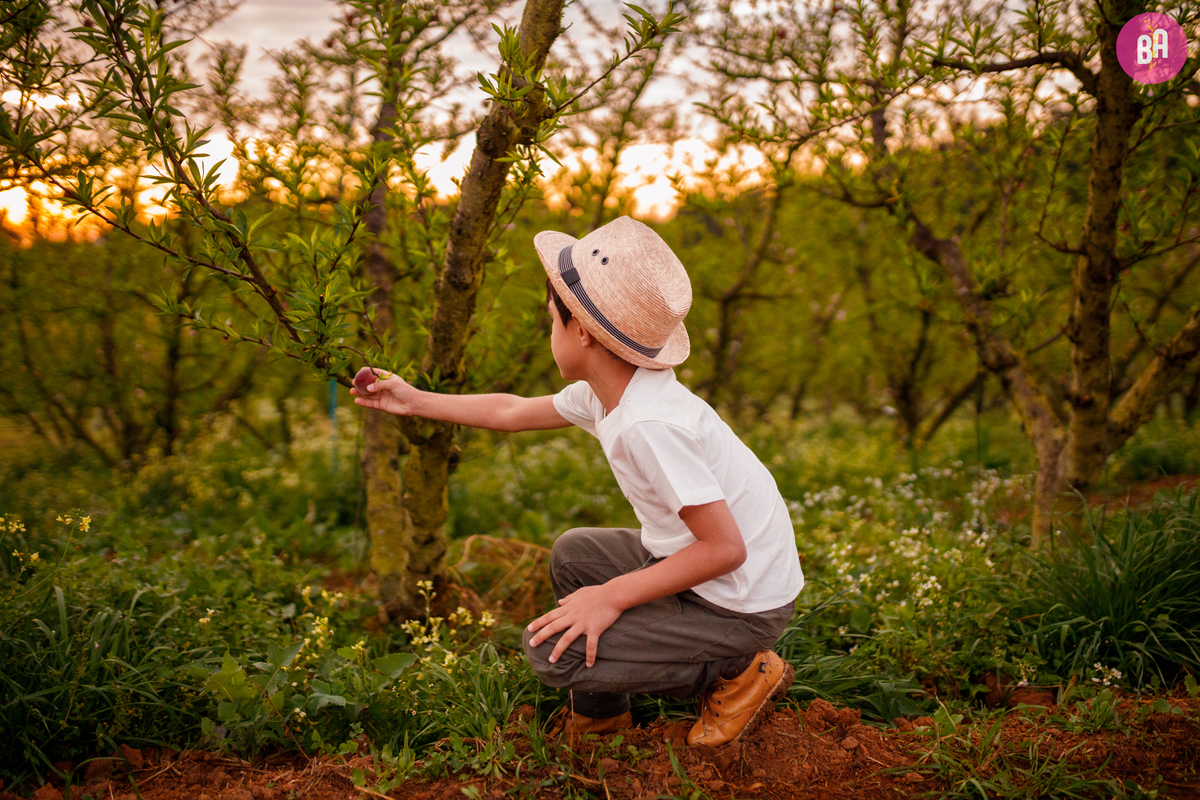 fotógrafa_família_curitiba