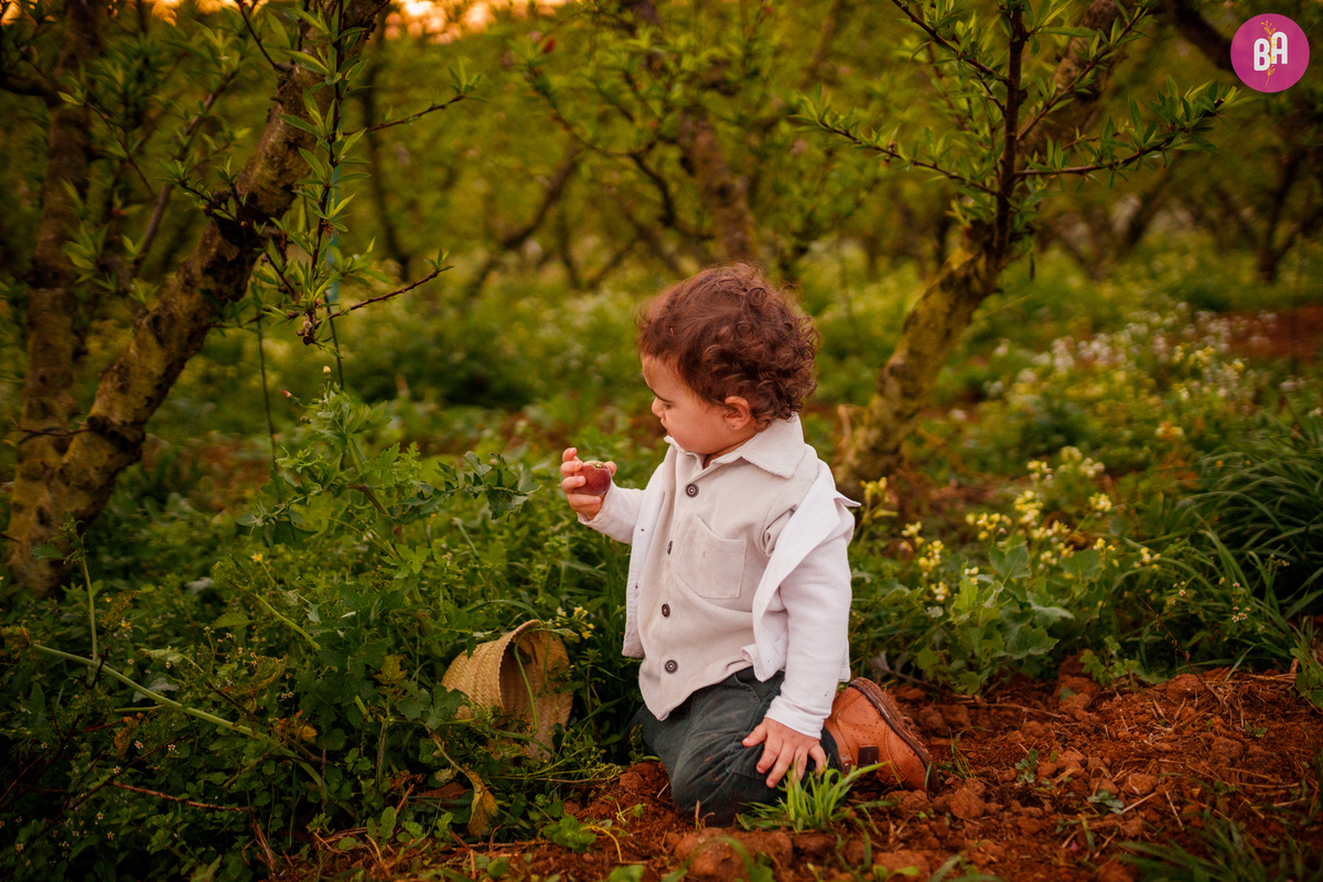 fotógrafa_família_curitiba