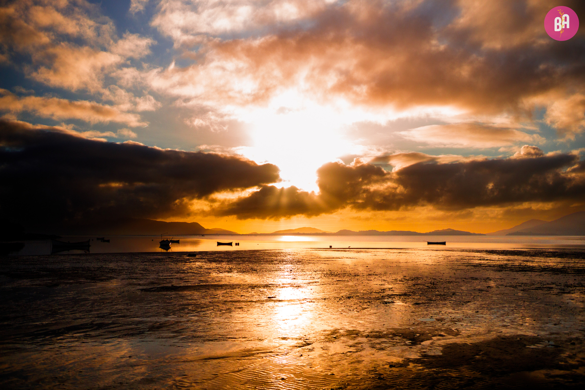 fotógrafa_família_curitiba_gestante