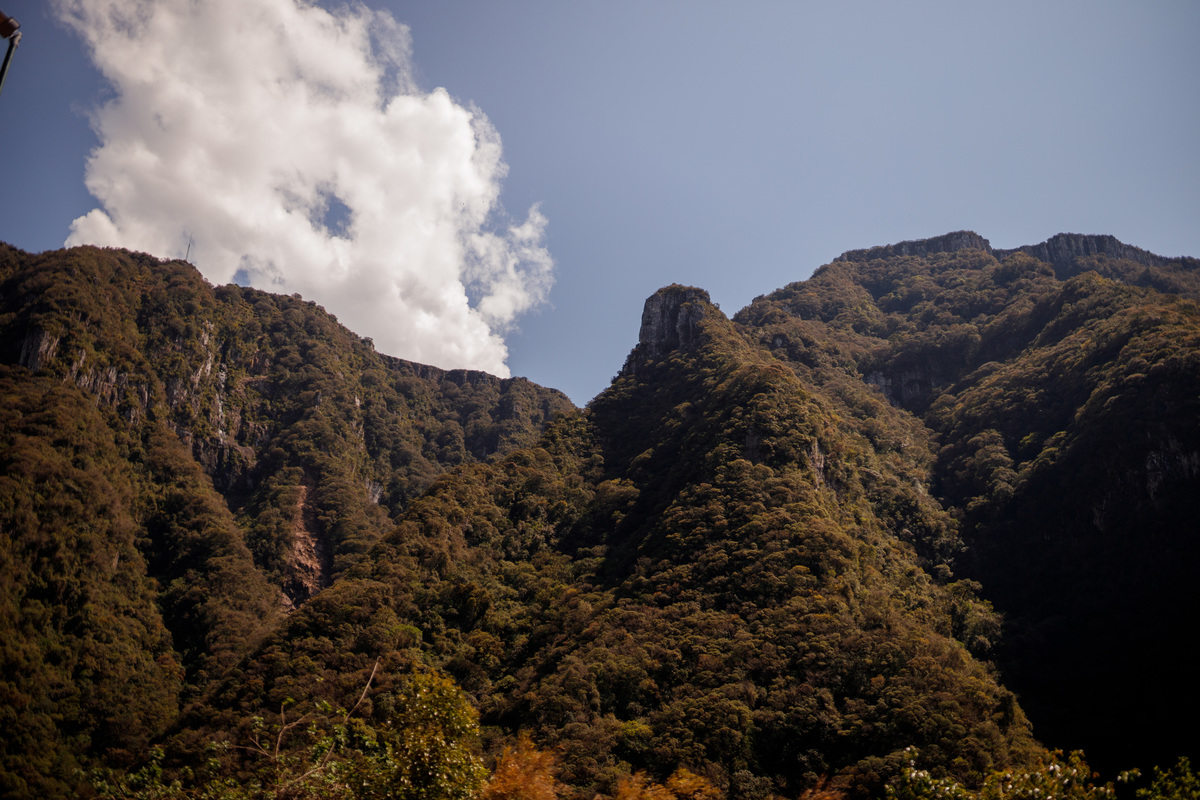 fotógrafa_família_curitiba_viagem
