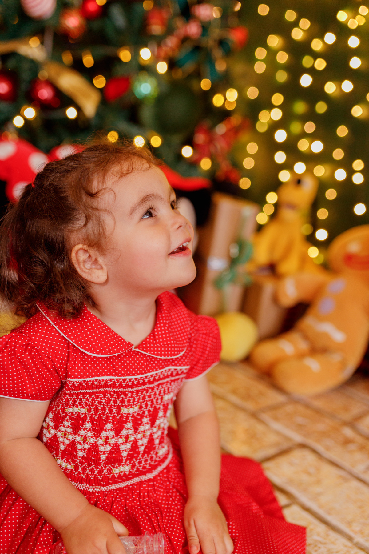 fotografa_familia_curitiba_natal