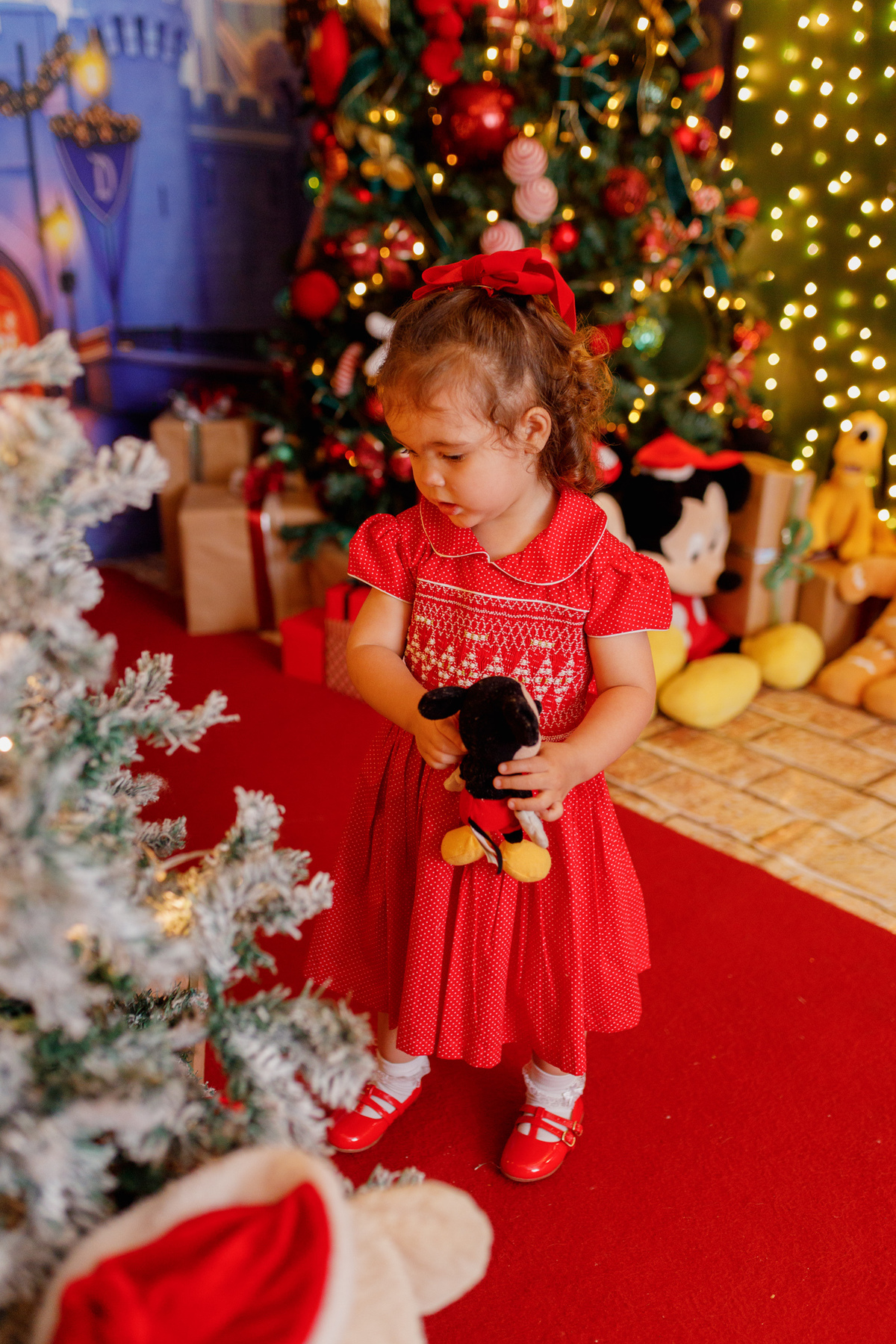 fotografa_familia_curitiba_natal