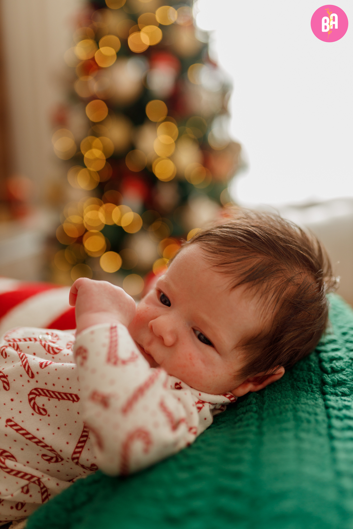 fotografa_familia_curitiba_natal_lifestyle