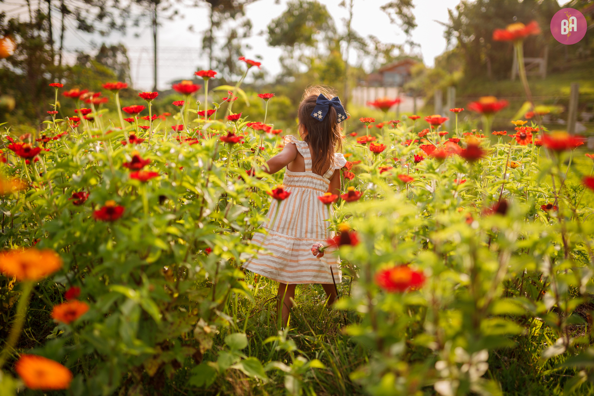 fotografa_familia_curitiba