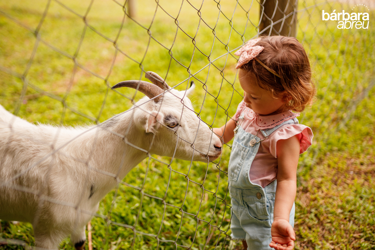 fotografa_familia_curitiba_fazendinha