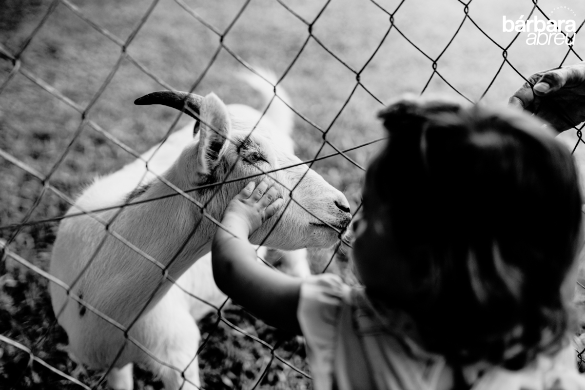 fotografa_familia_curitiba_fazendinha