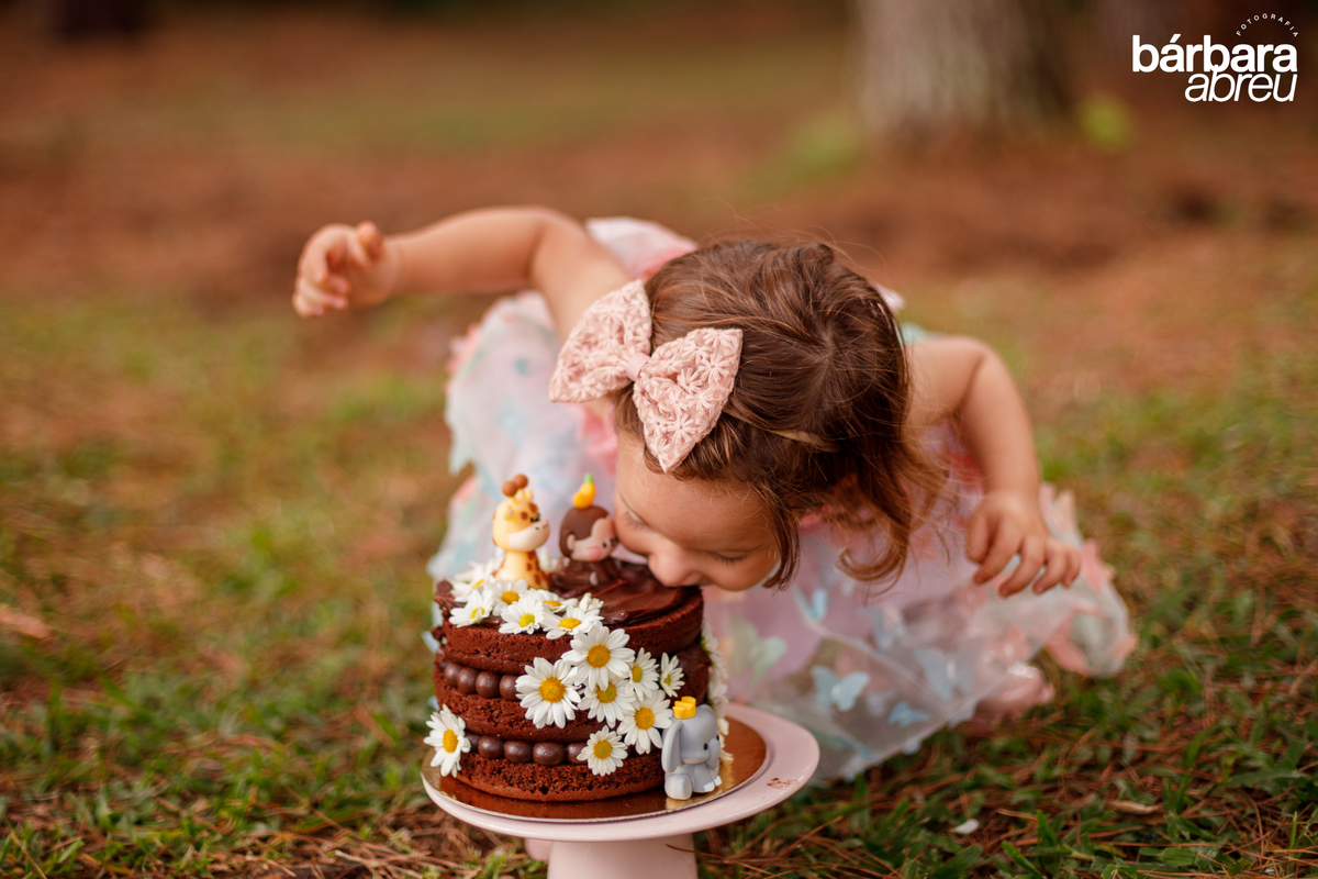 fotografa_familia_curitiba_fazendinha