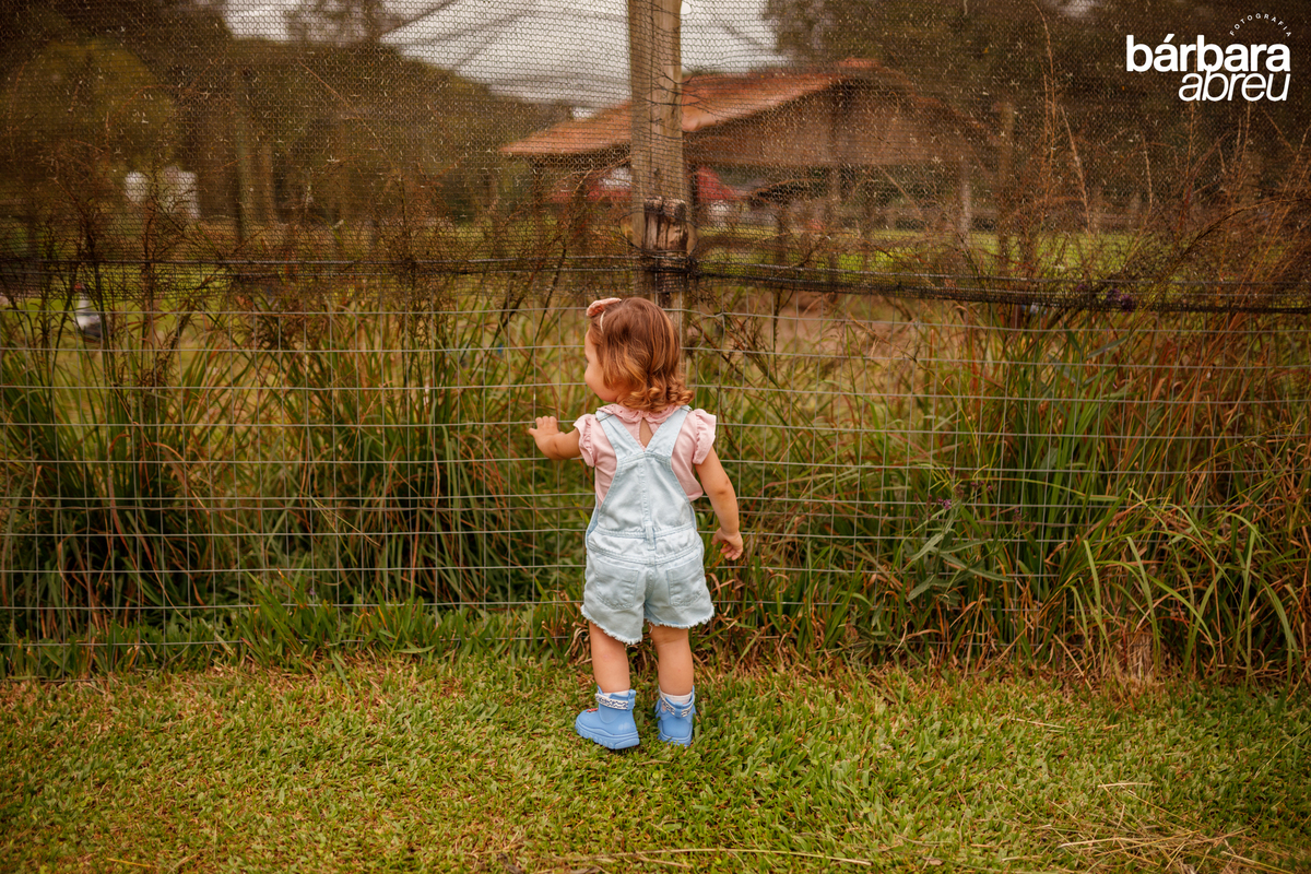 fotografa_familia_curitiba_fazendinha