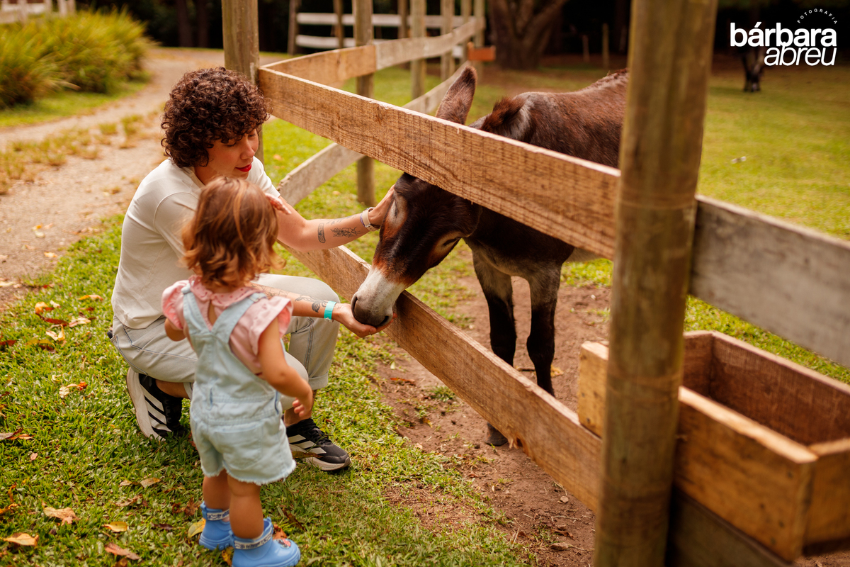 fotografa_familia_curitiba_fazendinha