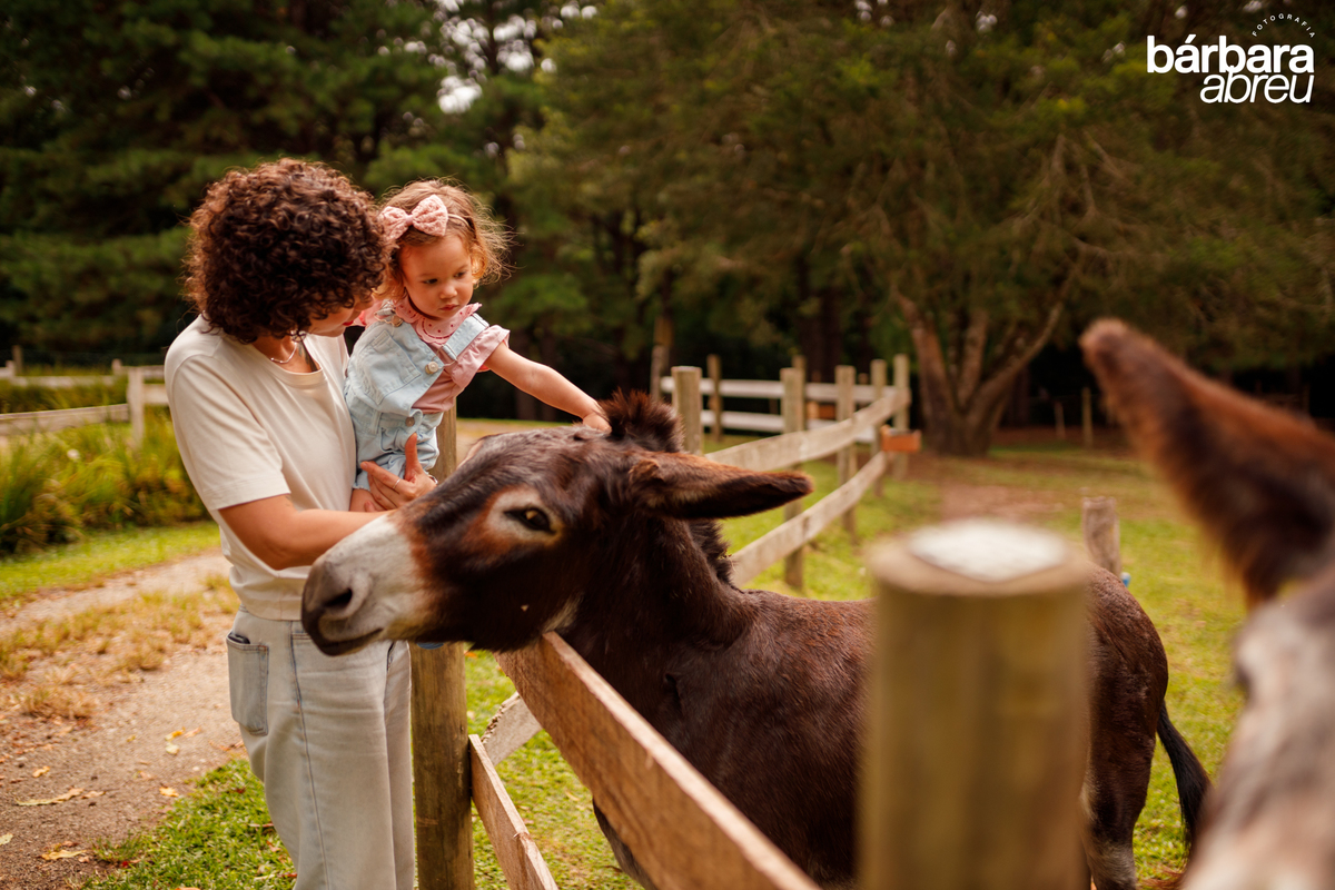 fotografa_familia_curitiba_fazendinha