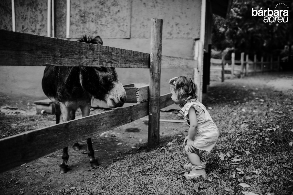 fotografa_familia_curitiba_fazendinha
