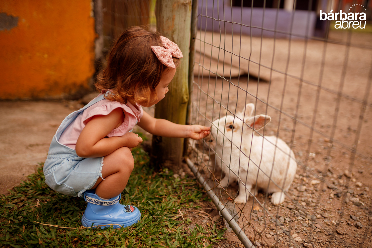 fotografa_familia_curitiba_fazendinha
