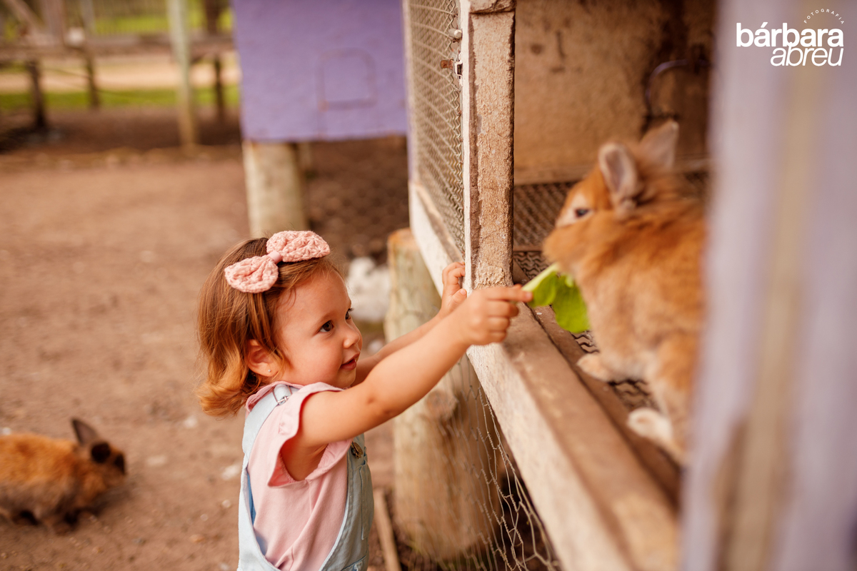 fotografa_familia_curitiba_fazendinha