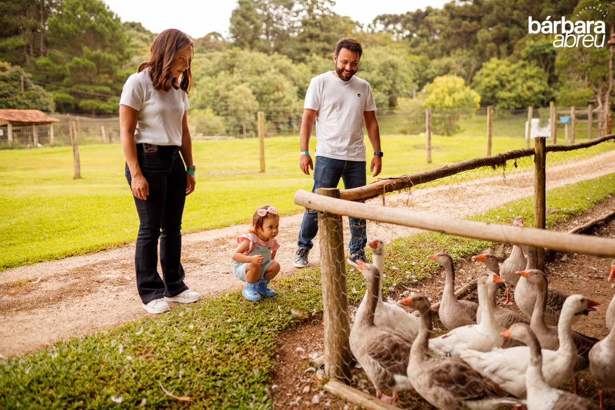 fotografa_familia_curitiba_fazendinha