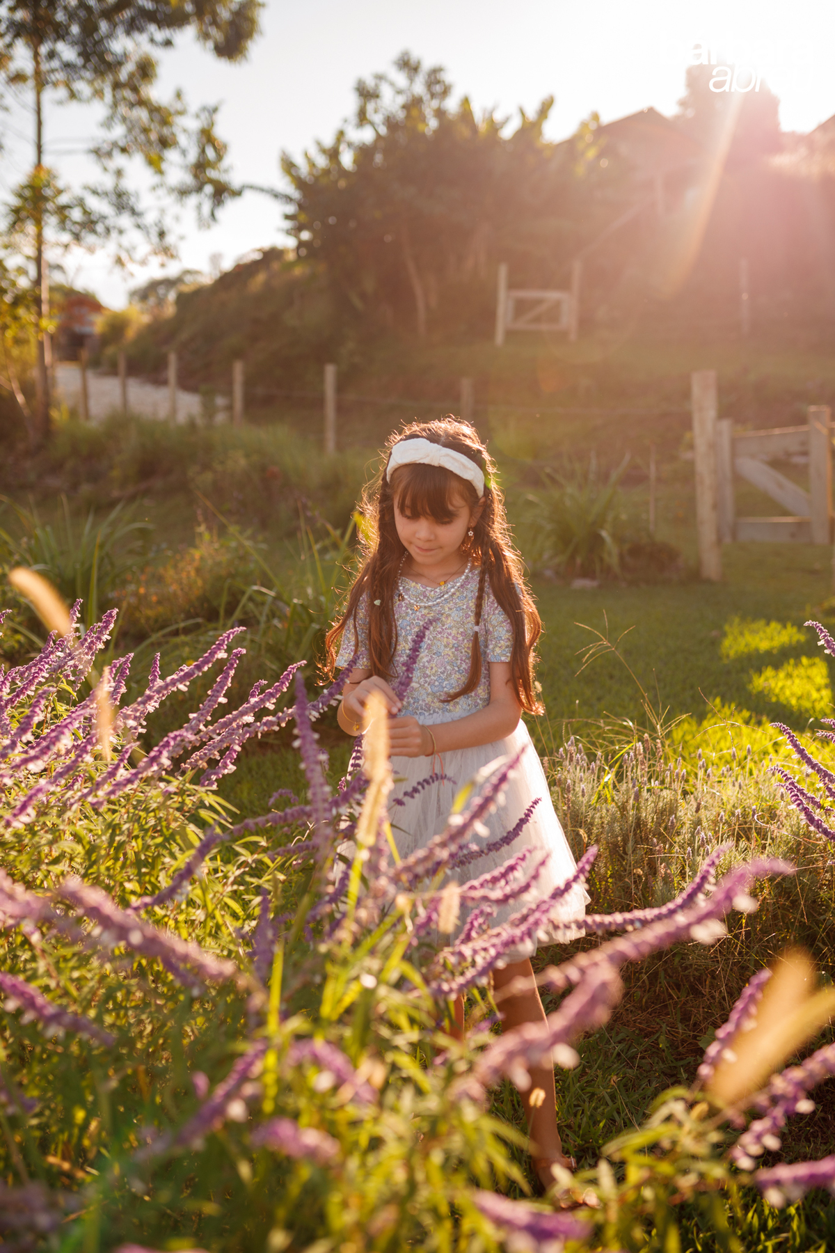 fotografa_curitiba_familia