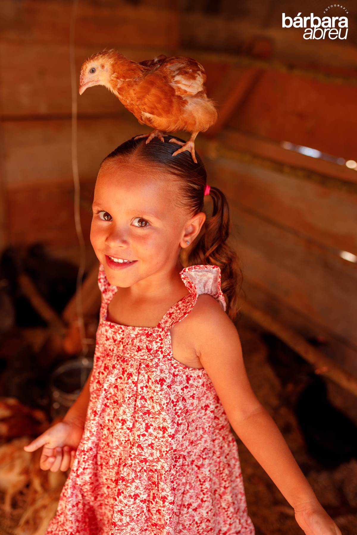 fotografa_familia_curitiba