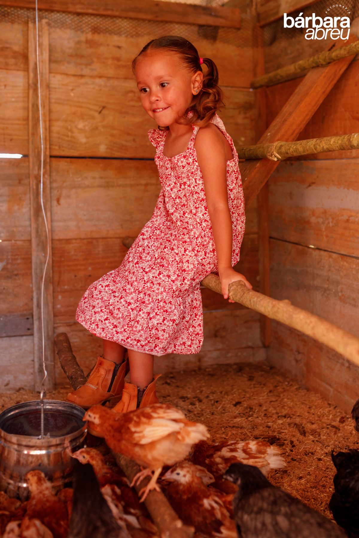 fotografa_familia_curitiba