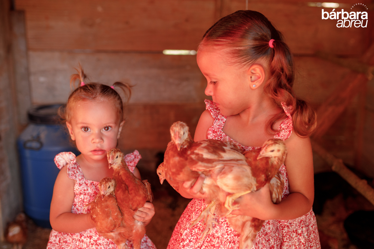 fotografa_familia_curitiba