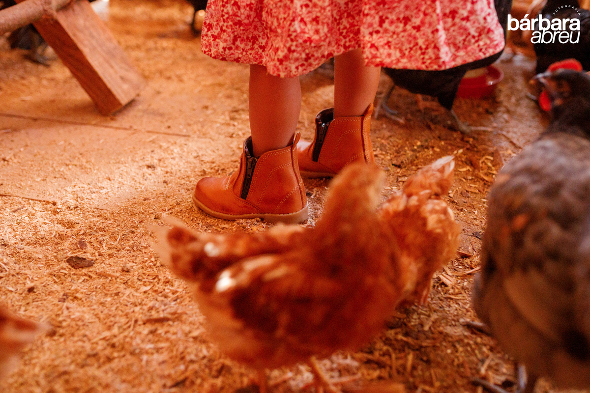 fotografa_familia_curitiba