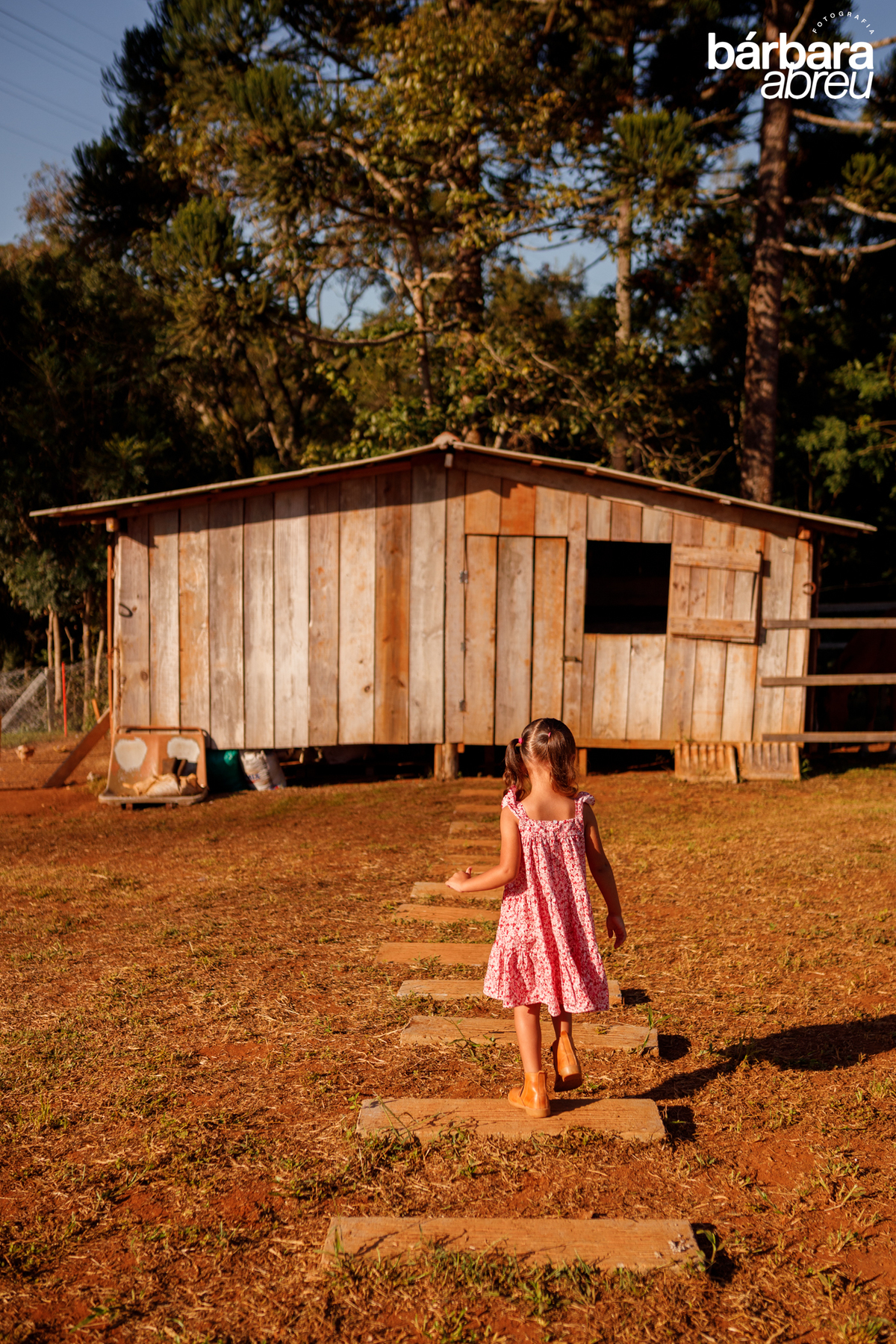 fotografa_familia_curitiba