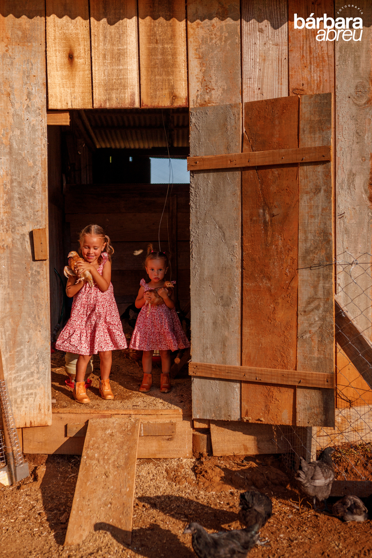 fotografa_familia_curitiba