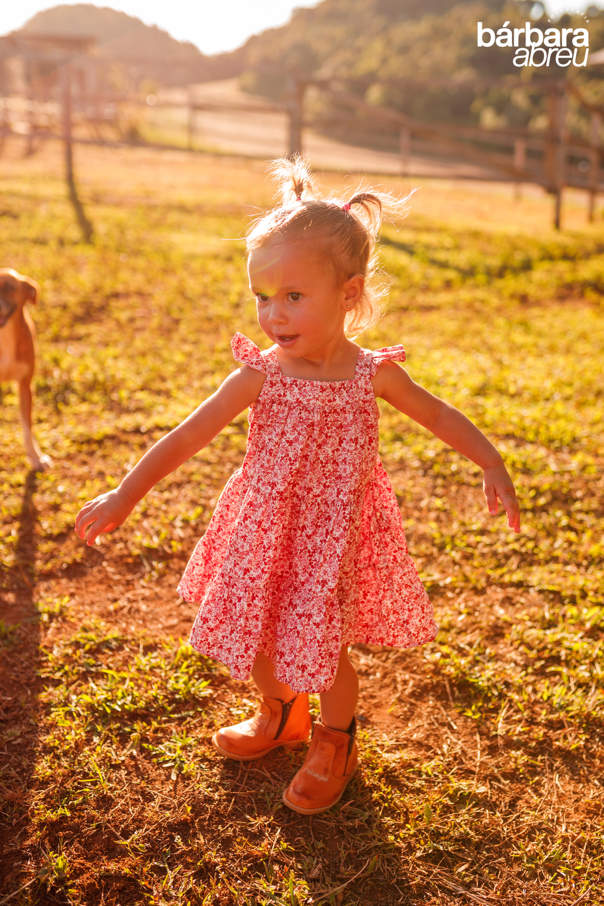 fotografa_familia_curitiba